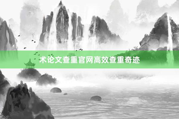 术论文查重官网高效查重奇迹