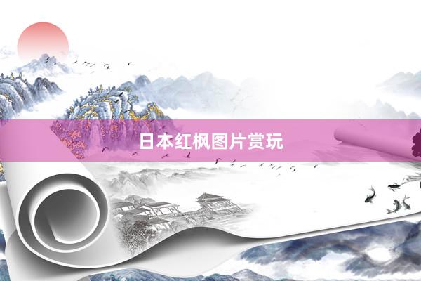 日本红枫图片赏玩